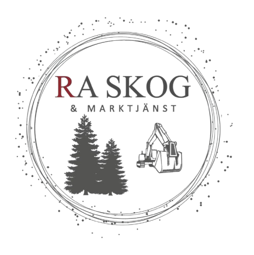 475838487_122214773114190478_651361922812487915_n-removebg-preview