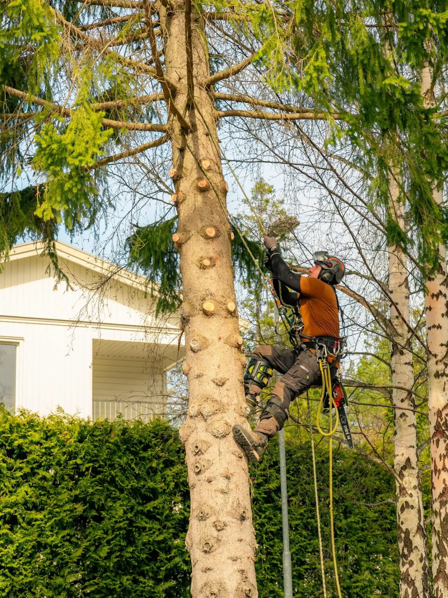 dscf3096-compressed-1440x1920-jpg (1)