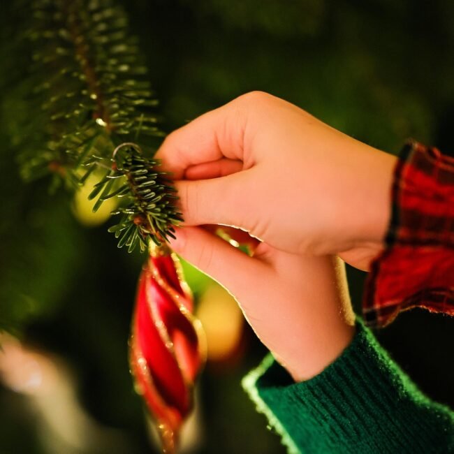 christmas, decoration, christmas tree, holiday, christmas eve, christmas ball, advent, christmasbackground, xmas